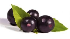 Acai berry